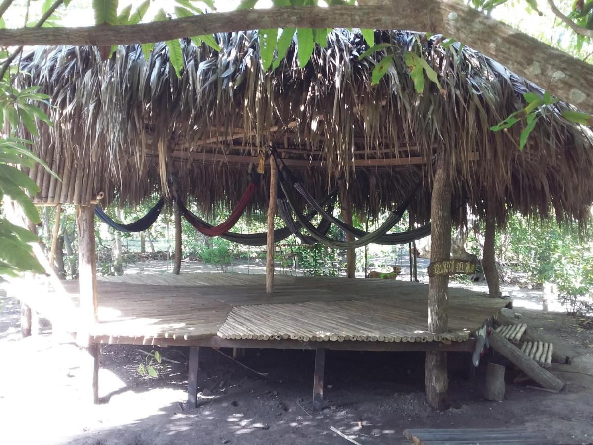 Eco-Camping Mango Feliz Rincon Del Mar San Onofre Extérieur photo