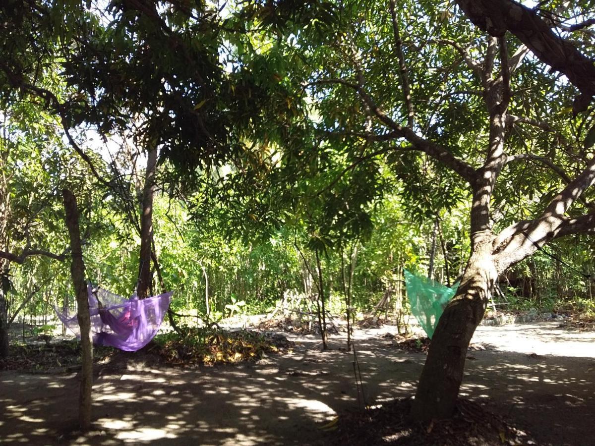 Eco-Camping Mango Feliz Rincon Del Mar San Onofre Extérieur photo