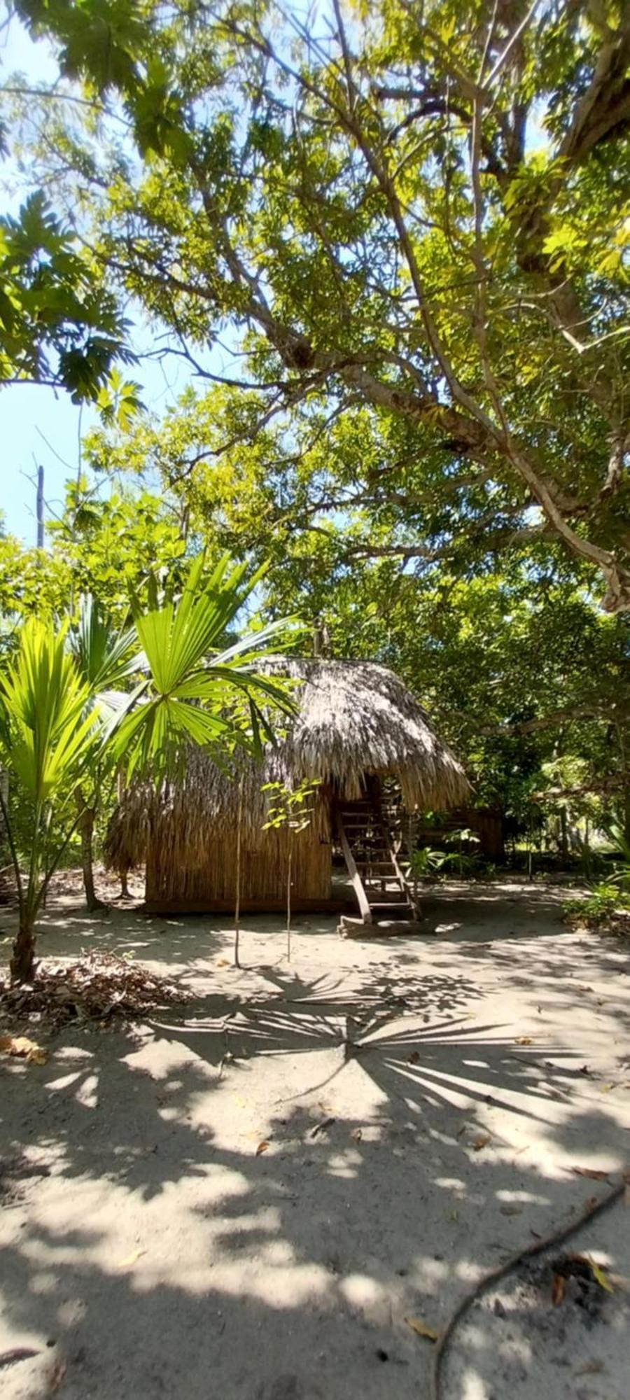 Eco-Camping Mango Feliz Rincon Del Mar San Onofre Extérieur photo