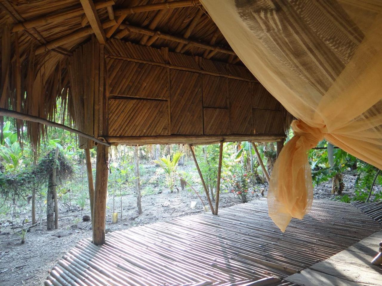 Eco-Camping Mango Feliz Rincon Del Mar San Onofre Extérieur photo