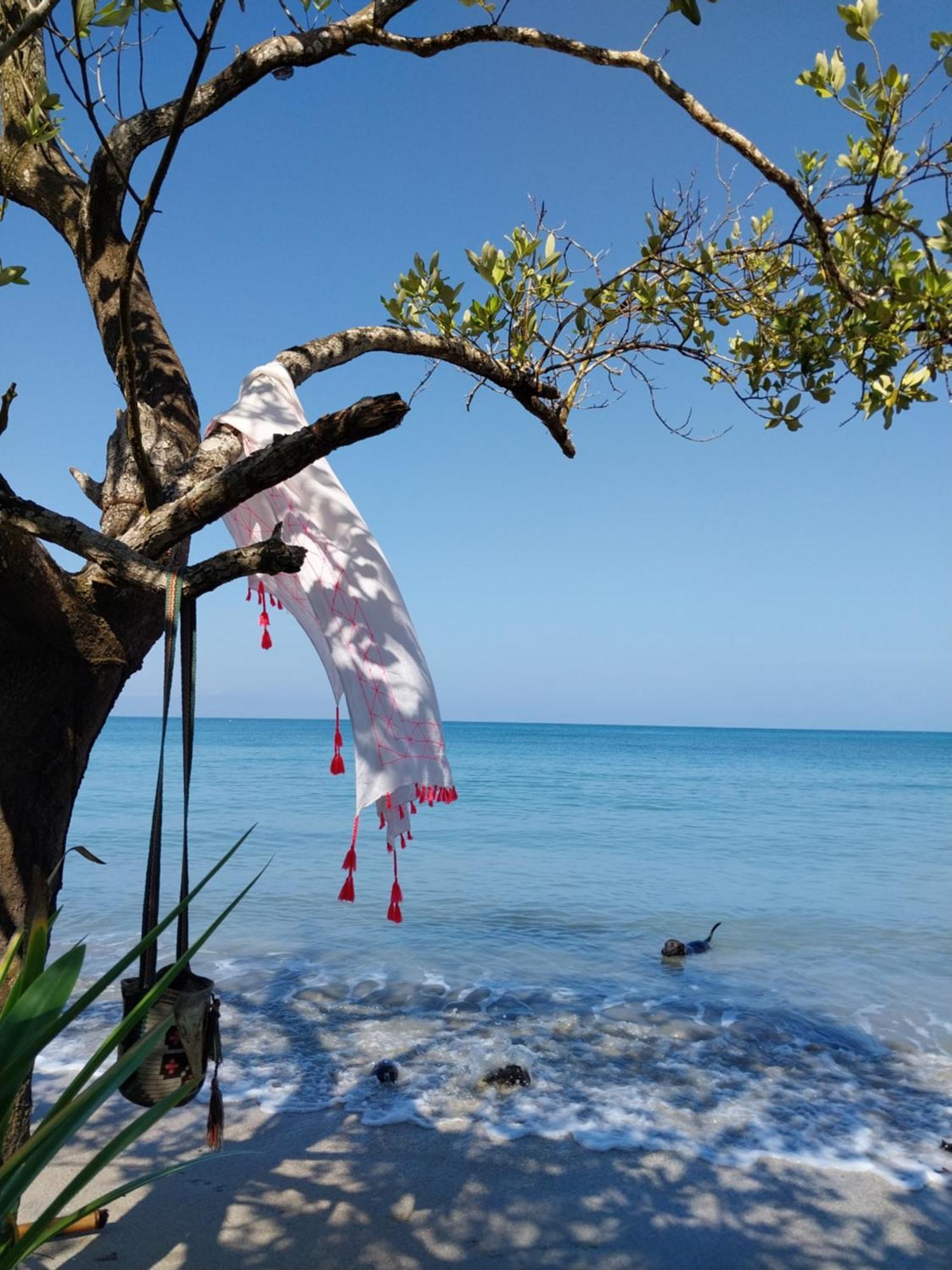 Eco-Camping Mango Feliz Rincon Del Mar San Onofre Extérieur photo
