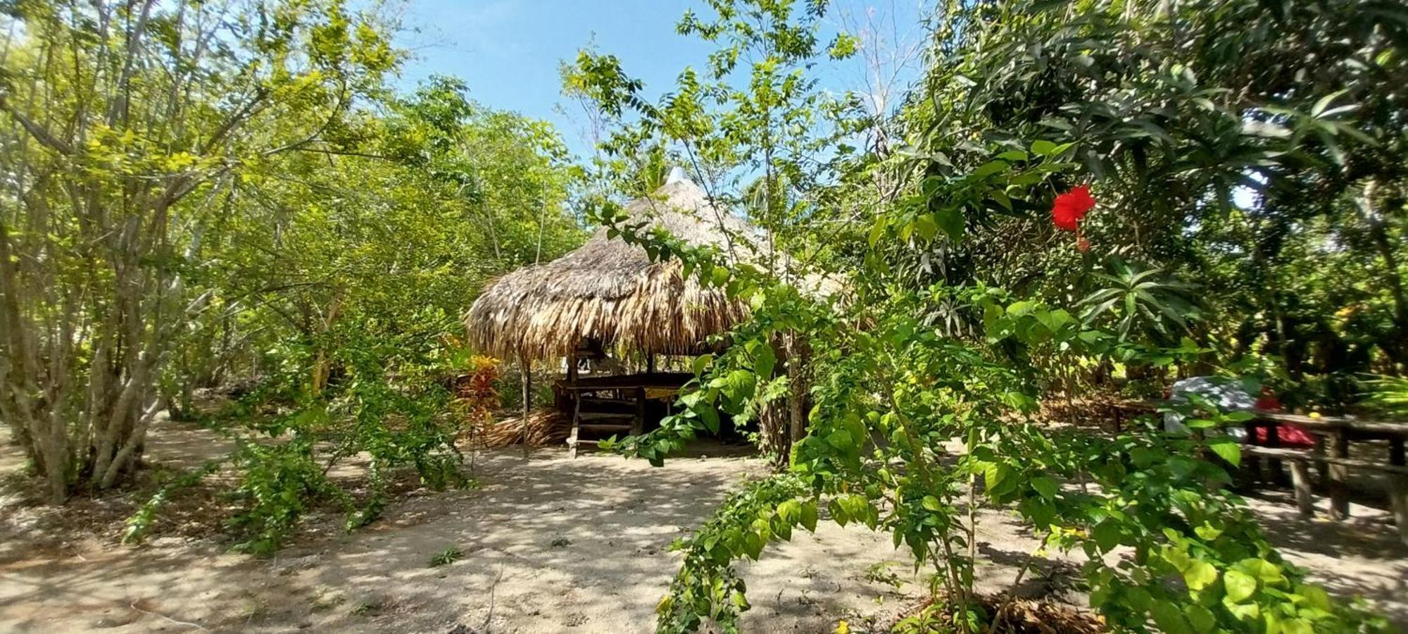 Eco-Camping Mango Feliz Rincon Del Mar San Onofre Extérieur photo