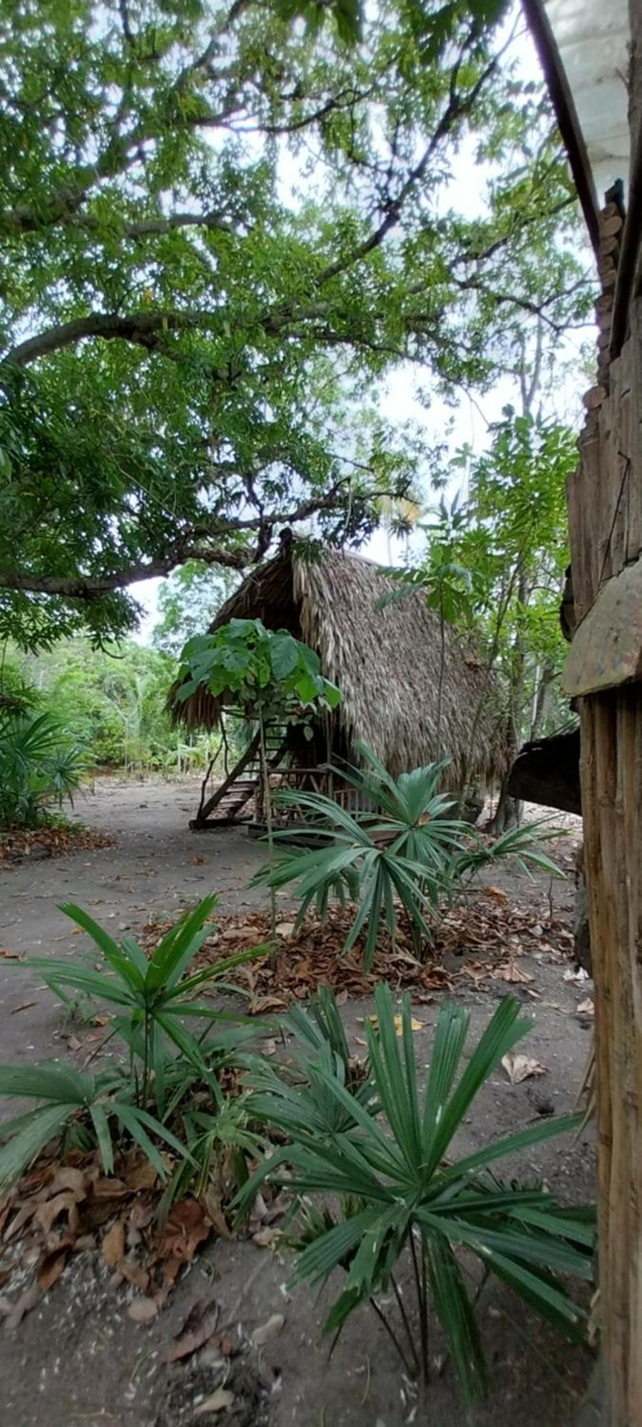 Eco-Camping Mango Feliz Rincon Del Mar San Onofre Extérieur photo