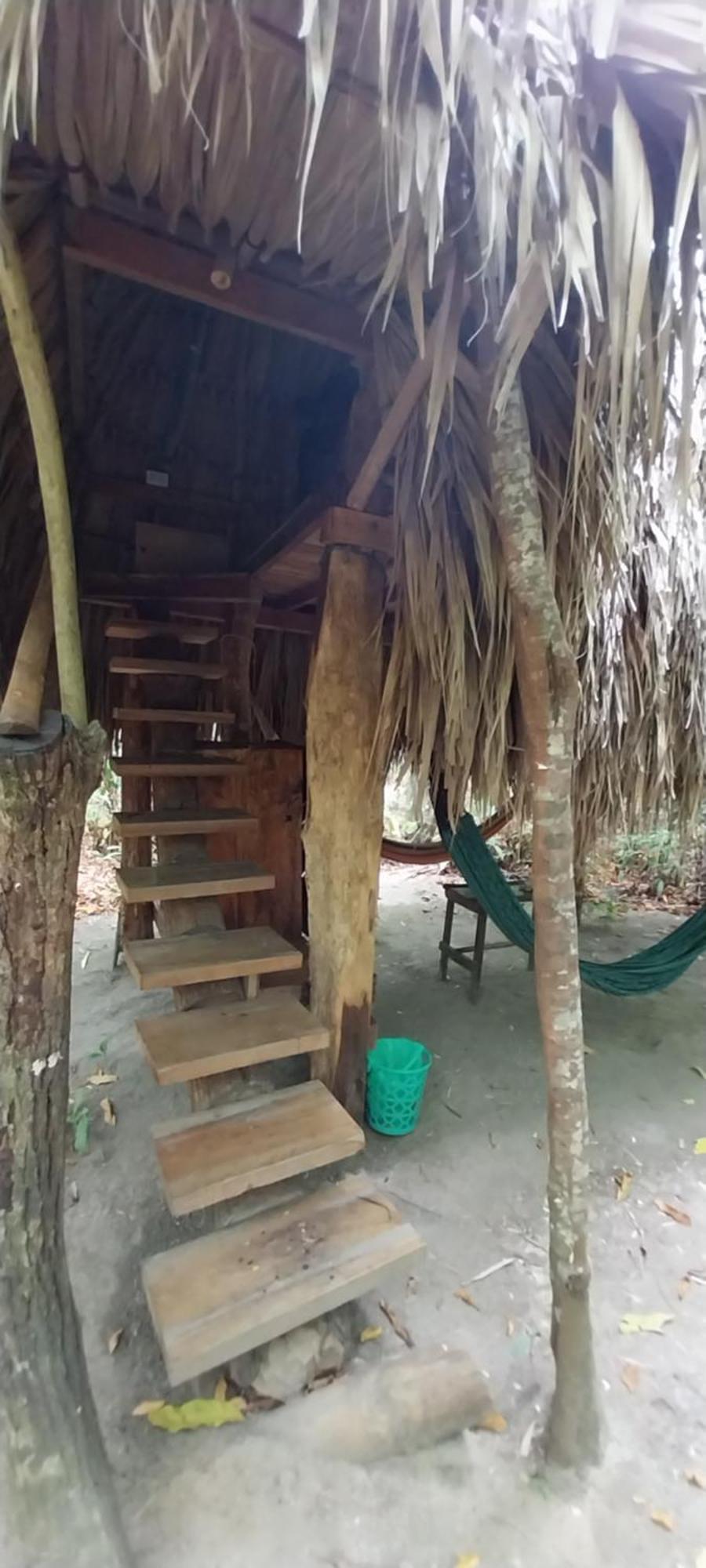 Eco-Camping Mango Feliz Rincon Del Mar San Onofre Extérieur photo